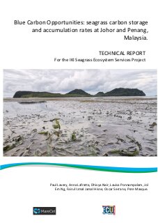 Blue Carbon Opportunities: seagrass carbon storage and accumulation rates at Johor and Penang, Malaysia