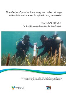 Blue Carbon Opportunities: seagrass carbon storage and accumulation rates at North Minahasa and Sangihe Island, Indonesia