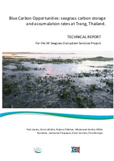 Blue Carbon Opportunities: seagrass carbon storage and accumulation rates at Trang, Thailand