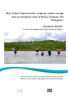 Blue Carbon Opportunities: seagrass carbon storage and accumulation rates at Roxas, Palawan, The Philippines
