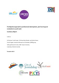 Participative approach to professional development, peer learning and evaluation in youth work: Summary report