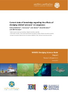 Current state of knowledge regarding the effects of dredging-related ‘pressure’ on seagrasses: Report of Theme 5 - Project 5.1.1 prepared for the Dredging Science Node